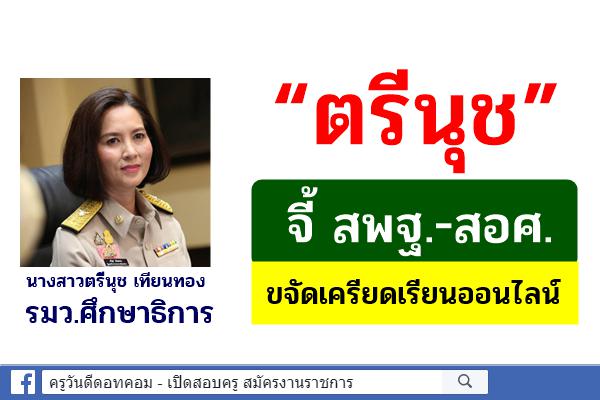 “ตรีนุช” จี้ สพฐ.-สอศ.ขจัดเครียดเรียนออนไลน์