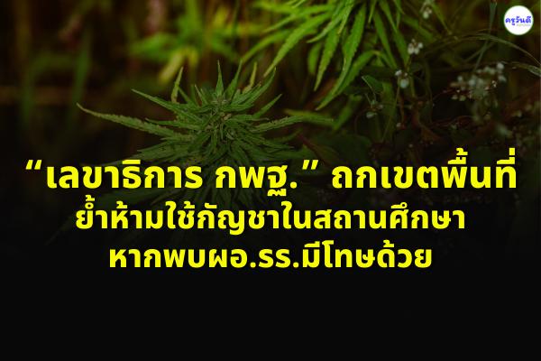 “อัมพร” ถกเขตพื้นที่ย้ำห้ามใช้กัญชาในสถานศึกษาหากพบผอ.รร.มีโทษด้วย