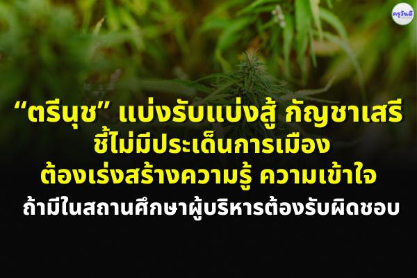 “ตรีนุช” แบ่งรับแบ่งสู้ กัญชาเสรี ชี้ไม่มีประเด็นการเมือง ต้องเร่งสร้างความรู้ ความเข้าใจ